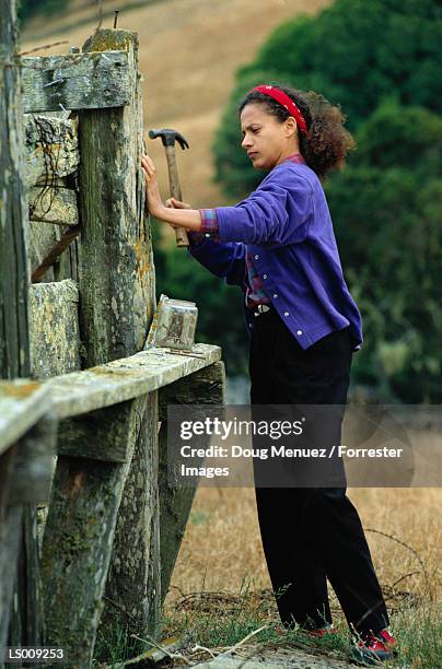 woman hammering fence - klauwhamer stockfoto's en -beelden