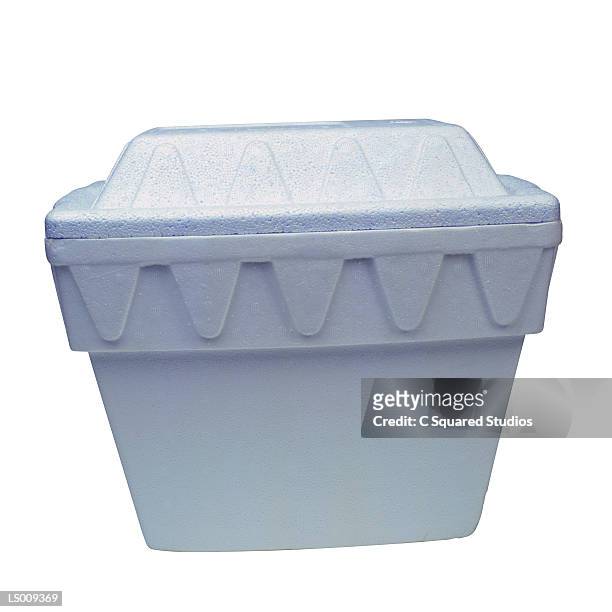 30 Styrofoam Cooler Stock Photos, High-Res Pictures, and Images - Getty  Images