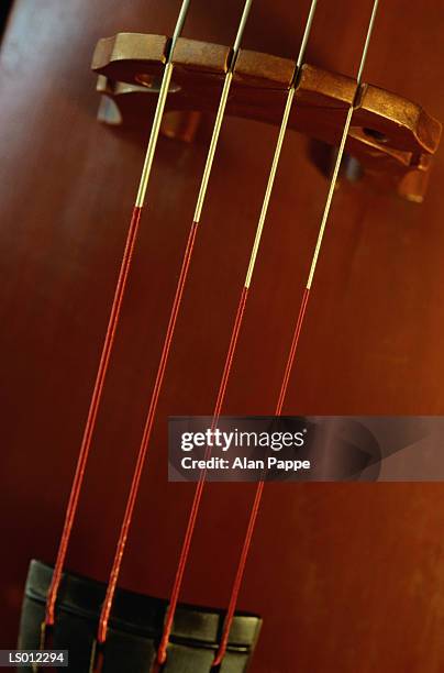 double bass, close-up of bridge - musical instrument bridge stock pictures, royalty-free photos & images