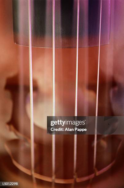 double bass, close-up of bridge and strings (soft focus) - musical instrument bridge stock pictures, royalty-free photos & images