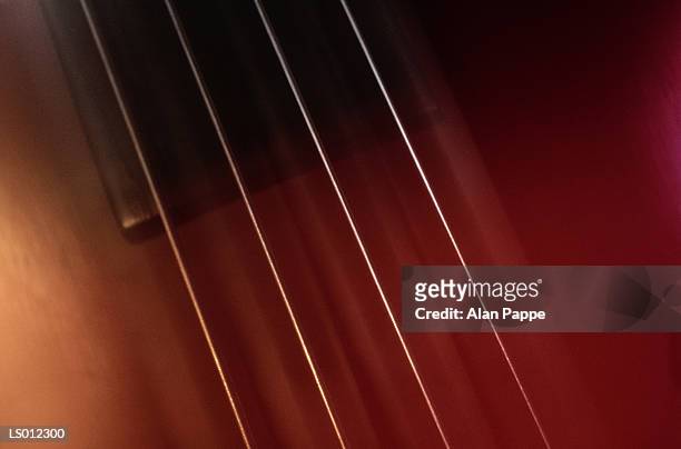 double bass, close-up of strings - the cinema society with dkny jeans deleon tequila host a screening of no strings attached inside arrivals stockfoto's en -beelden