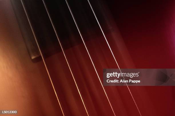 double bass, close-up of strings - violin family stock pictures, royalty-free photos & images