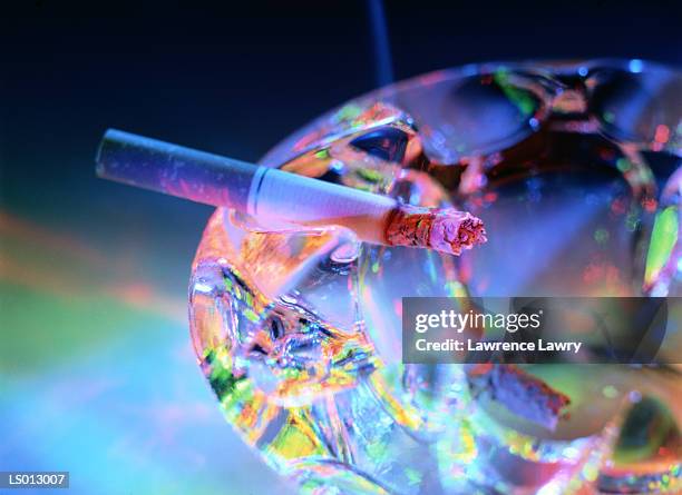 burning cigarette in ashtray - piper perabo or maria sharapova or nastia liukin or daniella monet or erin sanders or ash stock pictures, royalty-free photos & images