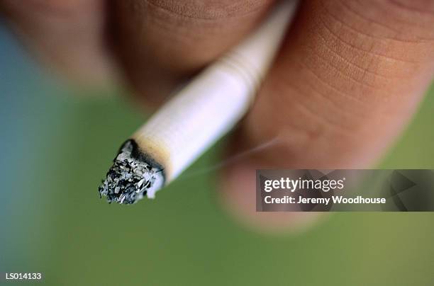 cigarette in fingers - piper perabo or maria sharapova or nastia liukin or daniella monet or erin sanders or ash stock pictures, royalty-free photos & images
