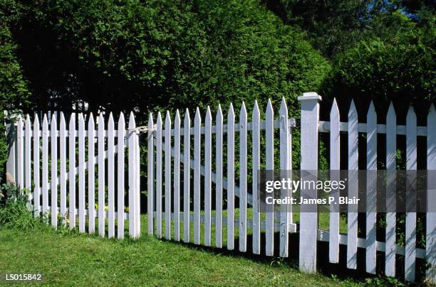 white picket fence - white picket gate stock pictures, royalty-free photos & images