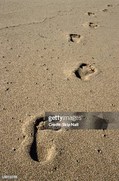 Skip Footsteps 1,012 Skip Line Stock Photos, High-Res Pictures, and Images - Getty Images