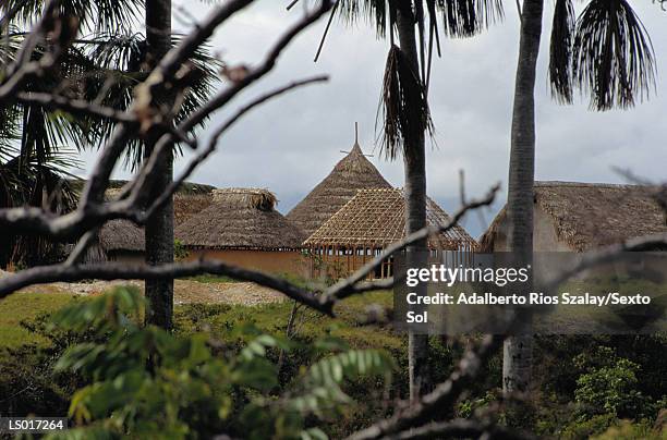 grass hut - la gran sabana stock-fotos und bilder