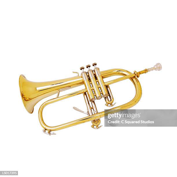 Flugel Rond 465 Flugelhorn Stock Photos, High-Res Pictures, and Images - Getty Images