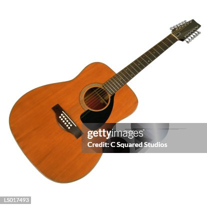 Twelve String Guitar Twelve String Guitar