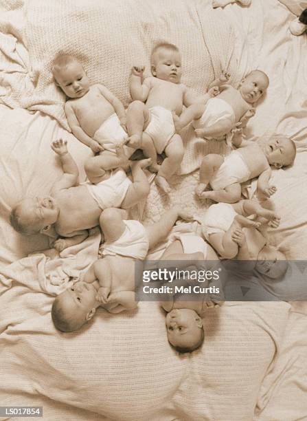 circle of babies - curtis stockfoto's en -beelden