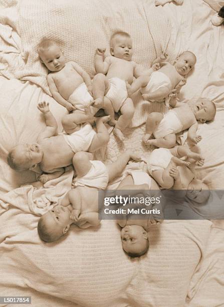 circle of babies - curtis stock pictures, royalty-free photos & images