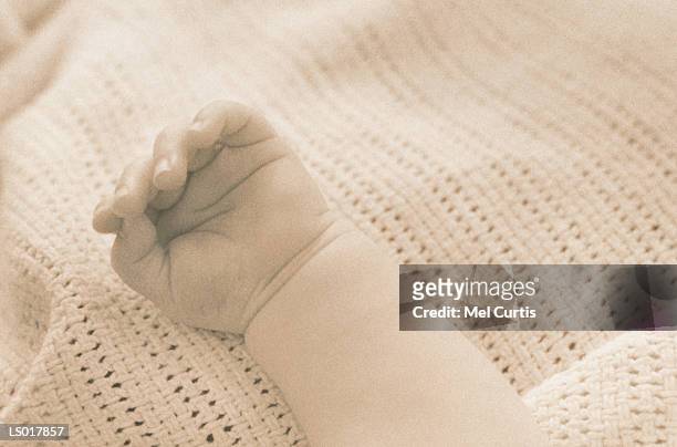 baby's hand - curtis stockfoto's en -beelden