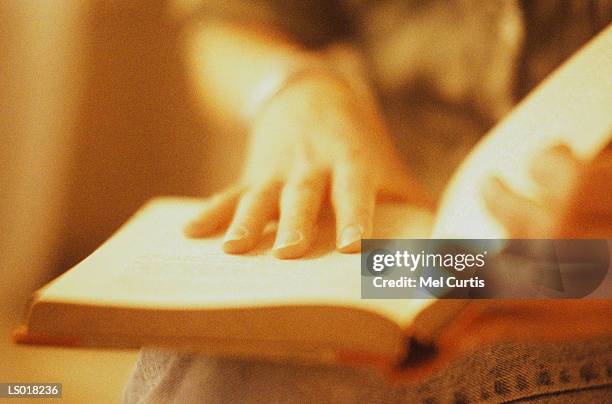 reading book - curtis stockfoto's en -beelden