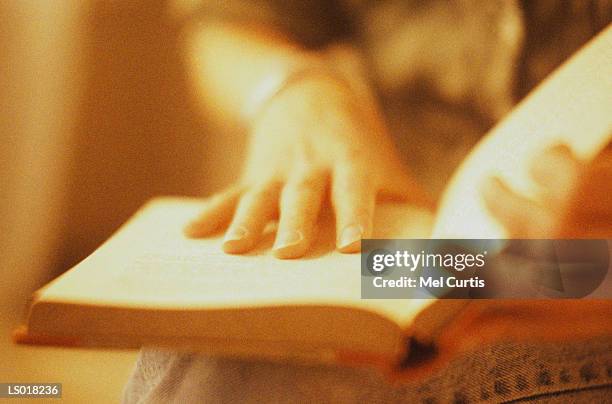 reading book - curtis stock pictures, royalty-free photos & images