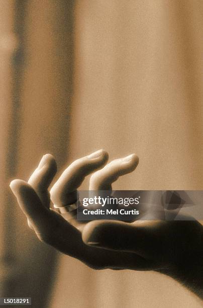 Mel Hand 102,307 Mel Stock Photos, High-Res Pictures, and Images - Getty Images