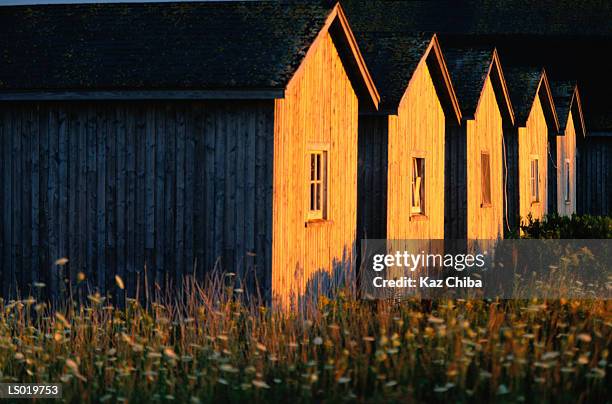 prince edward island, canada -- row of houses - the prince of wales duchess of cornwall mark 400th anniversary of shakespeares death stockfoto's en -beelden