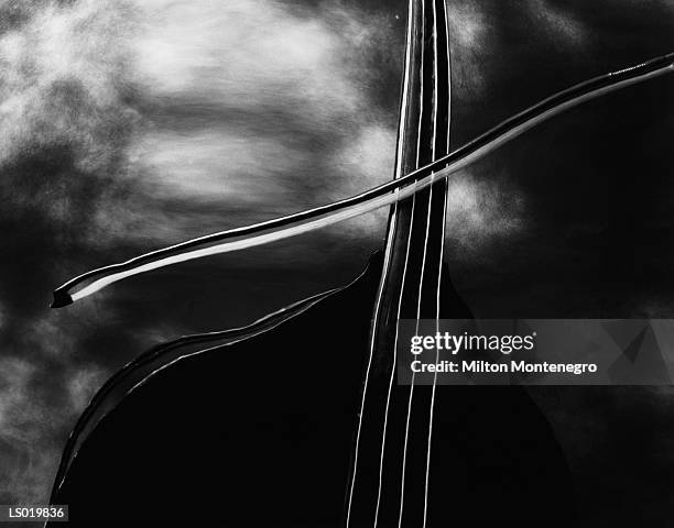 bow and strings - ancine stock pictures, royalty-free photos & images