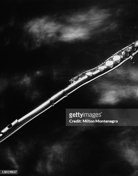 close-up of flute - ancine stock pictures, royalty-free photos & images