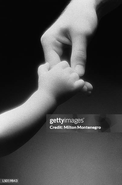 baby hand, adult hand - ancine stockfoto's en -beelden