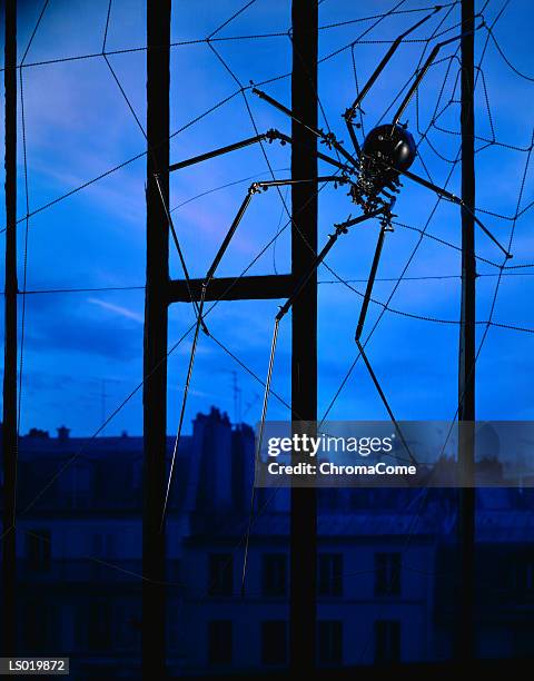 metal spider on window - arachnid stockfoto's en -beelden