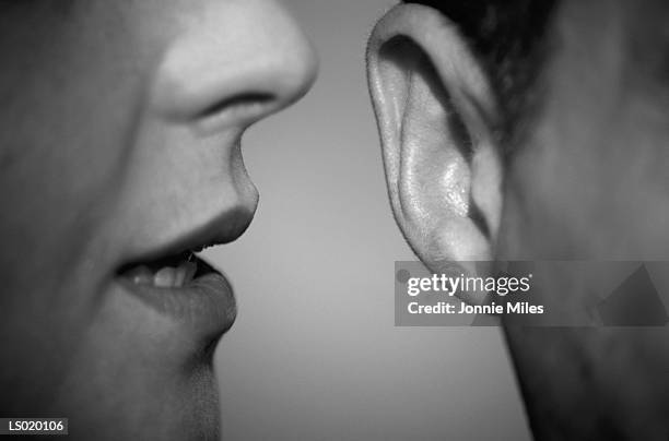 8,599 Adults Whispering Stock Photos, High-Res Pictures, and Images ...