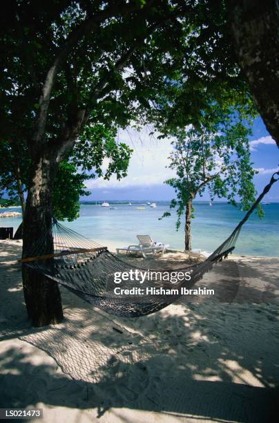 hammock on the beach - greater antilles foto e immagini stock