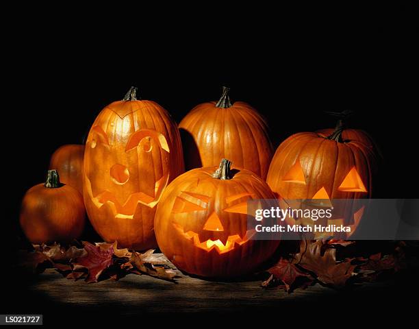 halloween jack-o-lanterns - jack o lantern imagens e fotografias de stock