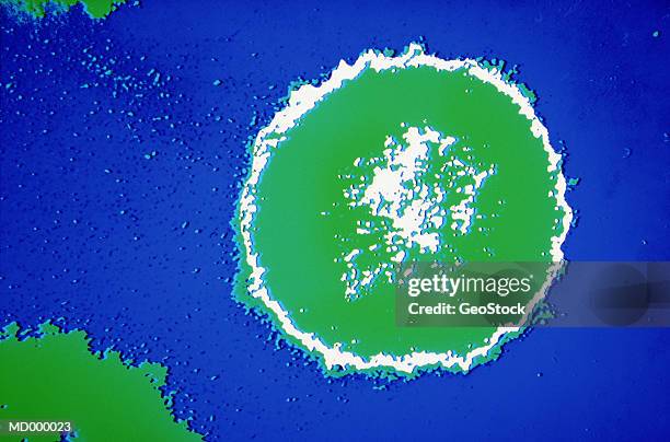 microscopic hiv virus - retrovirus stock pictures, royalty-free photos & images