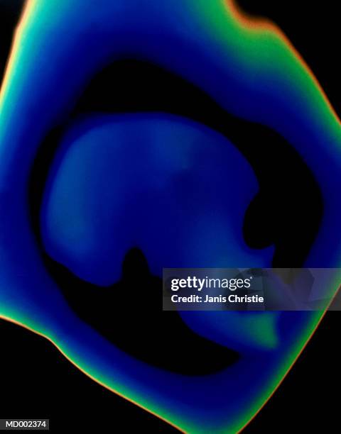 thermal image of human skull profile - christie stock pictures, royalty-free photos & images