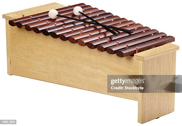 alto xylophone - xylophone stock pictures, royalty-free photos & images