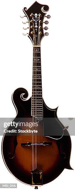 mandolin - mandolin stock pictures, royalty-free photos & images