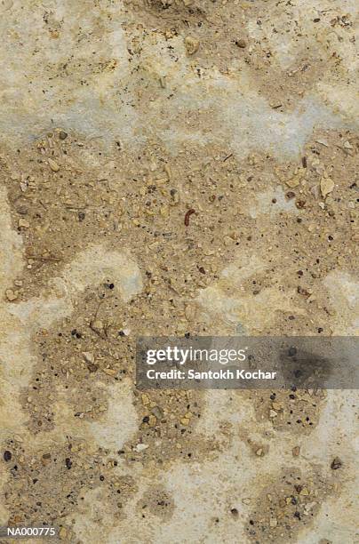 rock patterns - activists holds candlelight vigil to mark 1 month anniversary of oil spill stockfoto's en -beelden