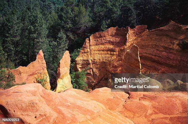 pine and red rocks - red pine stock pictures, royalty-free photos & images