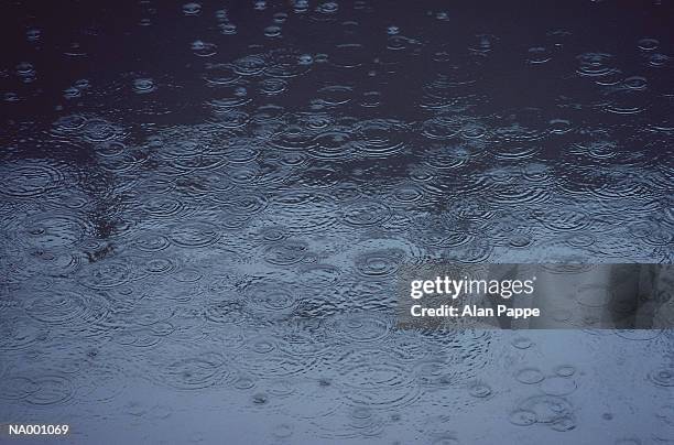 rain falling on water - falling stock-fotos und bilder