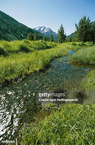 mountains and creek - jack and jack stock pictures, royalty-free photos & images