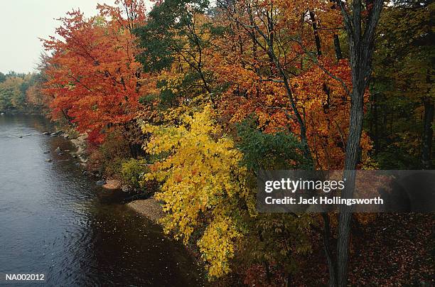 river and autumn leaves - jack and jack stock pictures, royalty-free photos & images