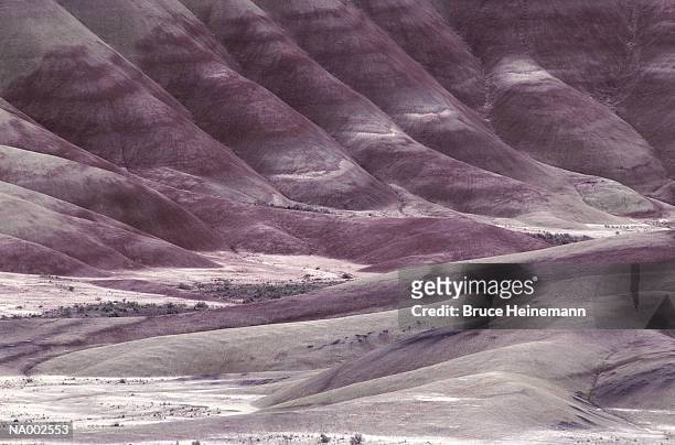 fossil bed - fossil site stock pictures, royalty-free photos & images