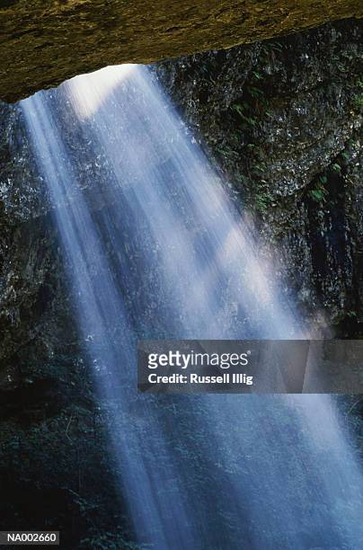 silver falls spraying - silver fern stock pictures, royalty-free photos & images