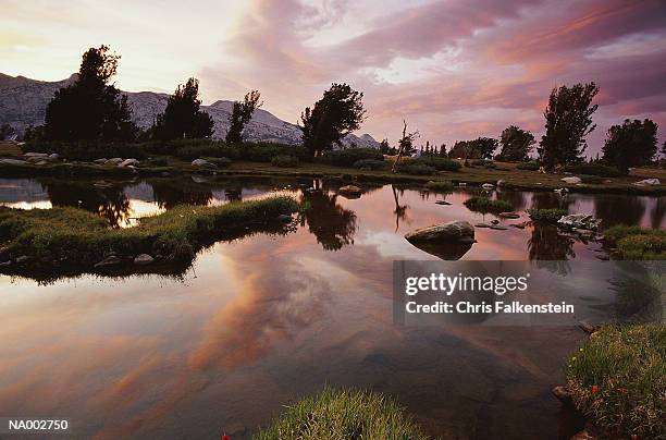 fletcher lake sunset - fletcher stock pictures, royalty-free photos & images