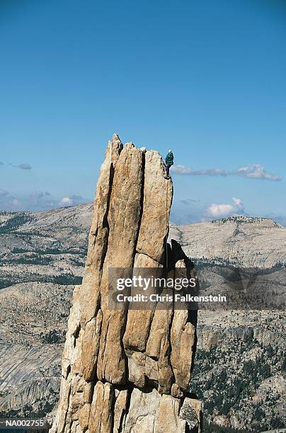 climber on pinnacle - pinnacle imagens e fotografias de stock