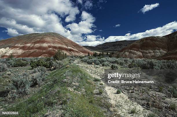 john day fossil beds oregon - letto fossile foto e immagini stock