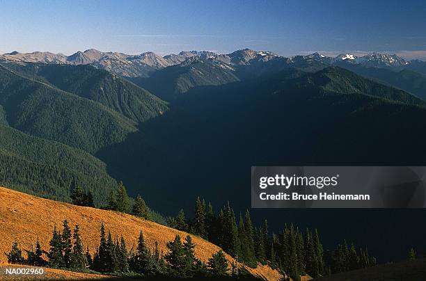 hurricane ridge - hurricane ridge stock pictures, royalty-free photos & images