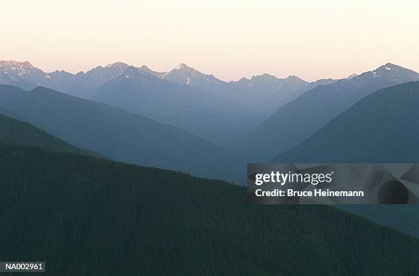 hurricane ridge - hurricane ridge stock pictures, royalty-free photos & images