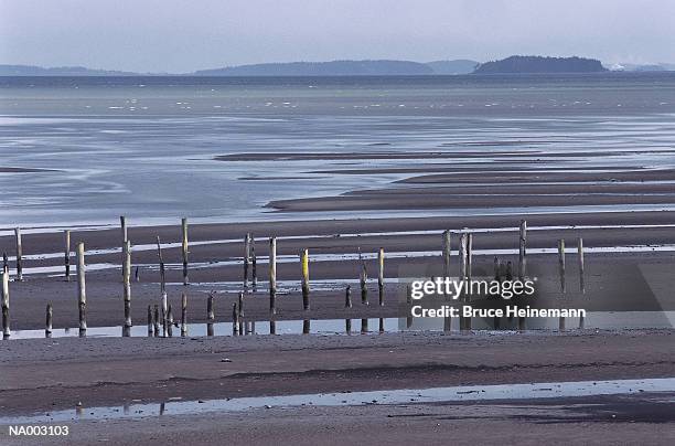 low tide - stakes in the sand stock pictures, royalty-free photos & images