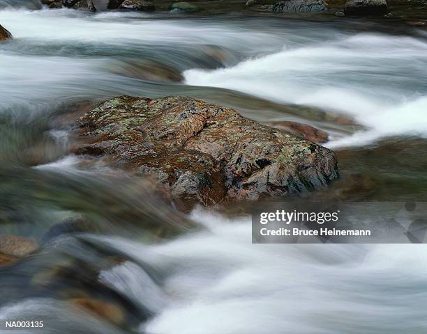 rapids - brown lichen stock pictures, royalty-free photos & images
