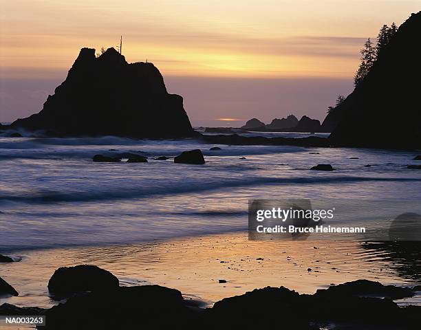 rialto beach - rialto beach stock pictures, royalty-free photos & images