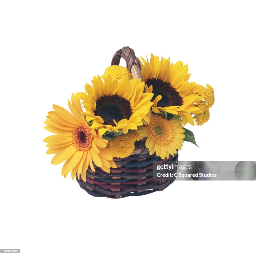 A Basket of Flowers