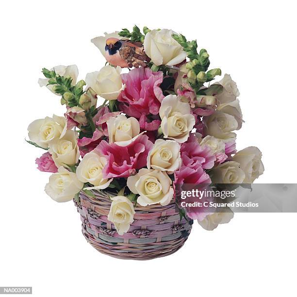 snapdragon, godetia, and white roses in a basket - godetia stock pictures, royalty-free photos & images