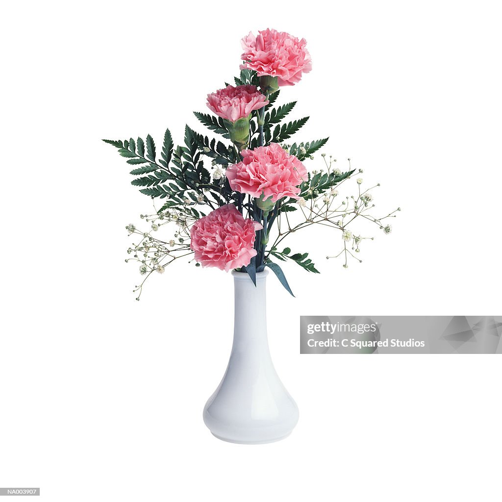 Pink Carnations in White Vase