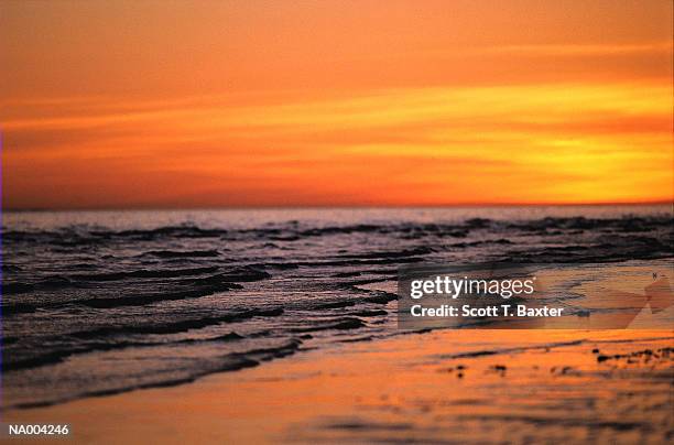 sunset over sea of cortez - sea of cortez foto e immagini stock